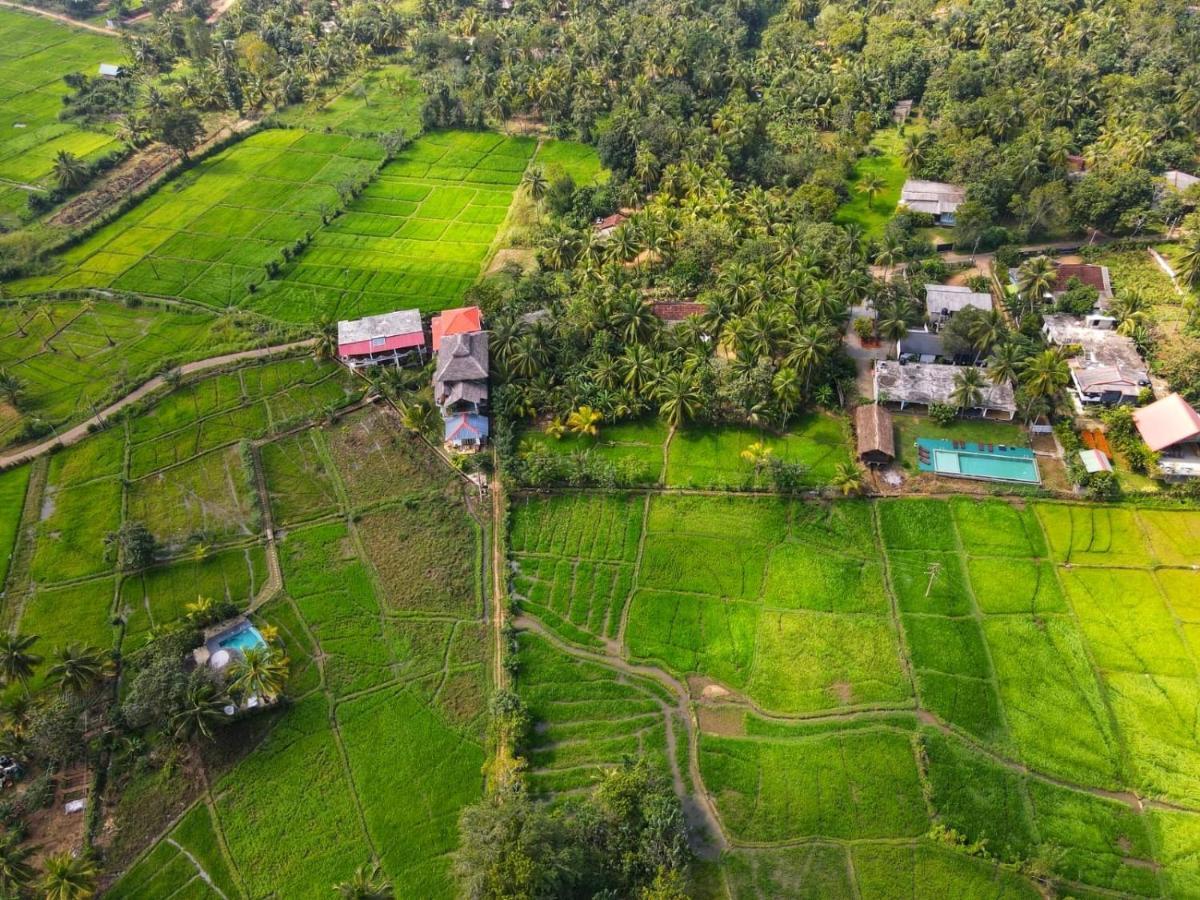 Nelu 3* Sigiriya