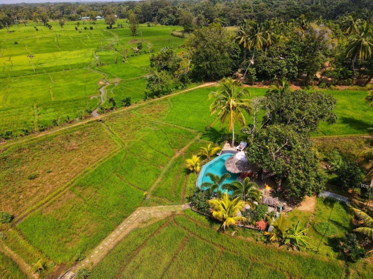 Nelu 3* Sigiriya